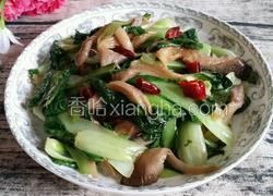 蘑菇炒青菜
