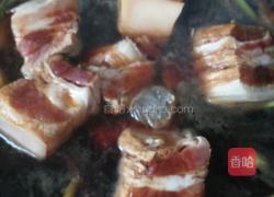 东坡肉的做法图解10