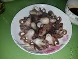 辣根八带