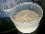 微波炉煮米饭方法
