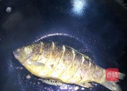 鲫鱼汤的做法图解4