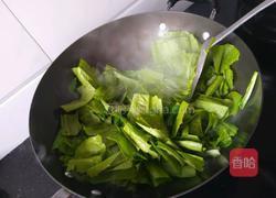 蒜蓉油麦菜的做法图解4