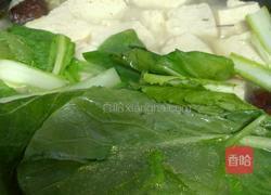 青菜豆腐靓汤的做法图解13