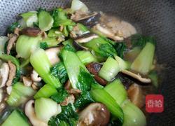 肉炒香菇油菜的做法图解8