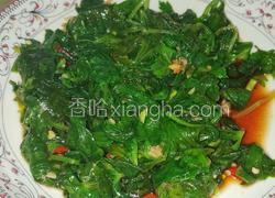 清爽凉拌芹菜叶十分钟搞定