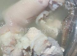 鹿尾巴海马海龙炖猪尾骨