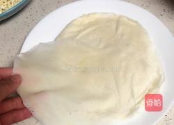 新年春卷（杭州口味）的做法图解4