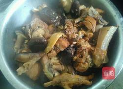 香菇炖鸡的做法图解5
