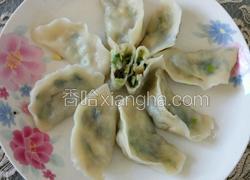 韭菜素饺子
