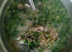 鲜鲤鱼汤