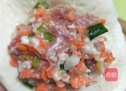 猪肉红萝卜香葱包的做法图解7