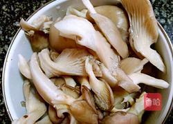 平菇炖鲫鱼（双椒版）的做法图解2
