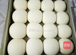 鲜奶油小面包(一次性发酵)的做法图解7