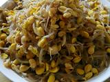 黄豆芽炒粉丝