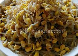 黄豆芽炒粉丝