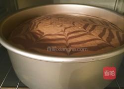 斑马纹双色戚风蛋糕(八寸)的做法图解21