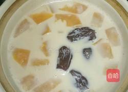 木瓜牛奶的做法图解9