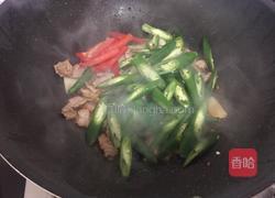 小炒肉的做法图解9