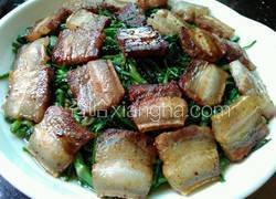 水芹南风肉