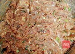 纯手工肉圆的做法图解6