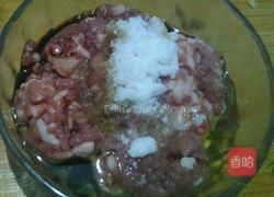 玫瑰花包……茴香肉馅的做法图解5