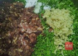 茴香肉馅饺子的做法图解8