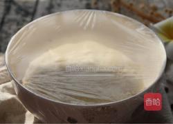 「Cathy边吃边营养」手摔式双层饼低油版的做法图解4