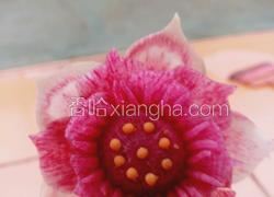 荷花（）莲花