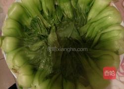 红烧狮子头的做法图解4