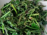 酱油炒苦刺尖的做法[图]