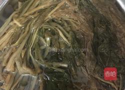梅菜腩肉的做法图解3