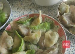 彩色荠菜饺子的做法图解37