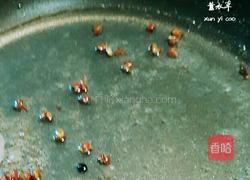 快手凉拌豆芽的做法图解4