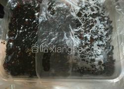 阿胶膏