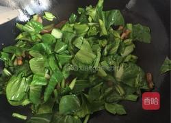 土猪肉炒菜苔的做法图解7
