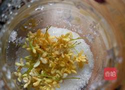糖桂花的做法图解11