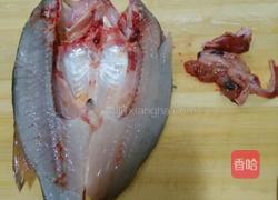 红烧鲈鱼的做法图解2