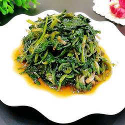 凉拌蒲公英