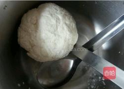 马苏里拉奶酪芝士家庭做法的做法图解3