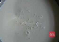 手工做新鲜的意大利里科塔乳清奶酪(纯乳清奶酪)乳清芝士的做法图解1