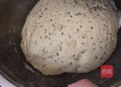 玉米荞面全麦大碱杂粮包的做法图解4