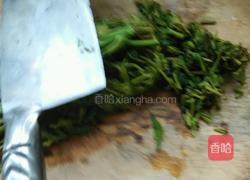 香椿炒鸡蛋的做法图解9