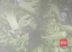 蒜蓉西兰花的做法图解4