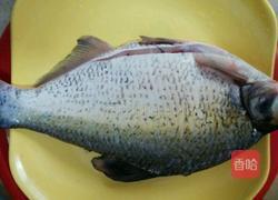 孔雀开屏鱼的做法图解1
