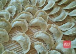 韭菜鸡蛋饺子的做法图解14