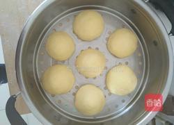 玉米面馒头的做法图解6