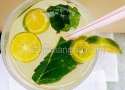 青柠薄荷茶