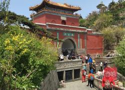 砂锅卤鸡蛋的做法图解7