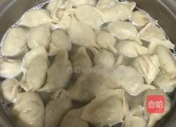 黄蘑芹菜猪肉饺子的做法图解15