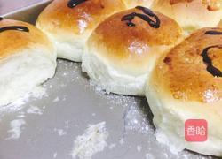 巧克力酱挤挤面包（纯手揉面包）的做法图解10